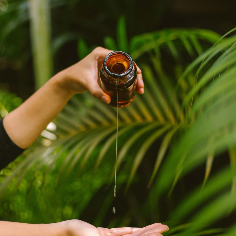 Untitled design - 2025-11-11T145012.739